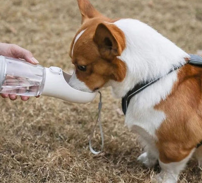 Stay Hydrated on the Go: Must-Have Portable Pet Water Bottles