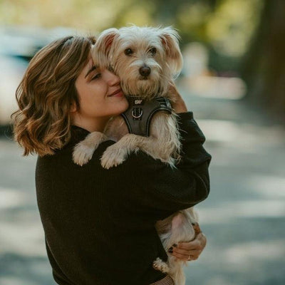 New Pet Parent Guide: Essentials for Bringing a Puppy or Kitten Home