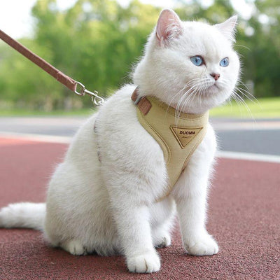 How to Measure Your Dog or Cat for a Perfect Harness Fit