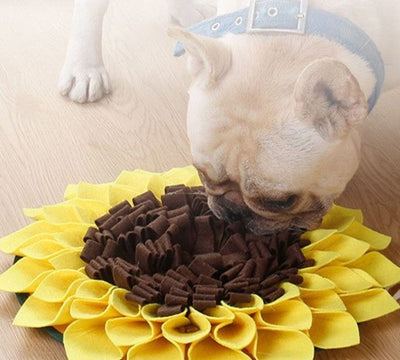 Level Up Playtime: Snuffle Mats & Slow Feeders for Smart Pets  I