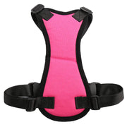 Seat Belt - Pet Car Harness for Medium Dogs