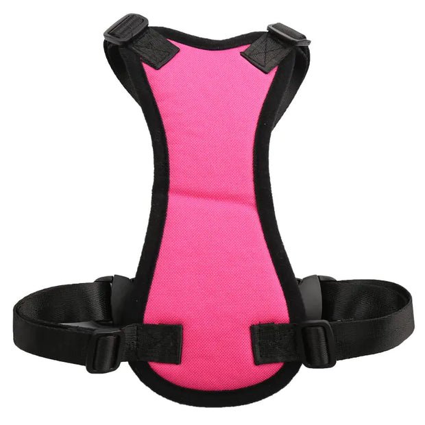 Seat Belt - Pet Car Harness for Medium Dogs
