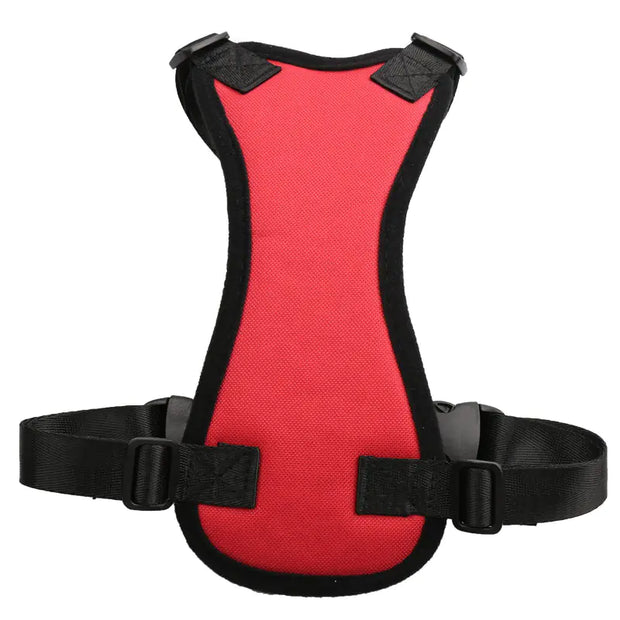 Seat Belt - Pet Car Harness for Medium Dogs