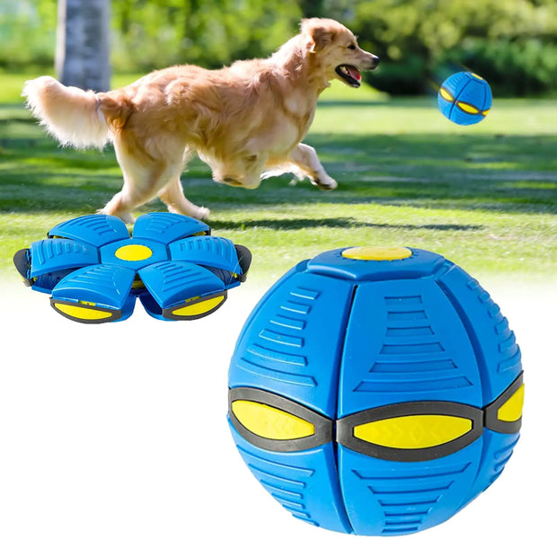 Doggy Ball : New Doggy disc Ball