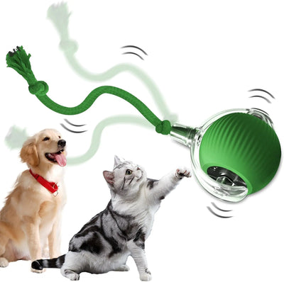 Cat Toys : KDIRST New Interactive Cat Toys Balls
