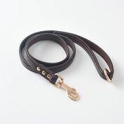 Dog Leash and Collar Set for Pets