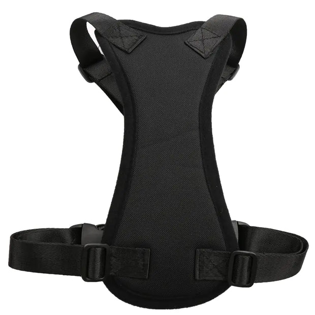 Seat Belt - Pet Car Harness for Medium Dogs