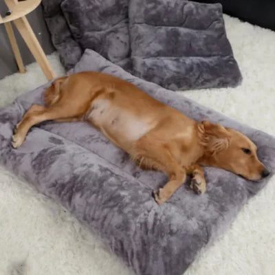 Plush Pet Bed