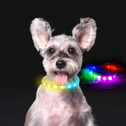 USB Rechargeable Anti-Lost Flash Dog Collar Necklace