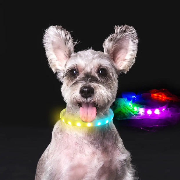 USB Rechargeable Anti-Lost Flash Dog Collar Necklace