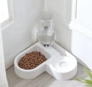 Pet Bowl Drinking plastic