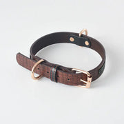 Dog Leash and Collar Set for Pets