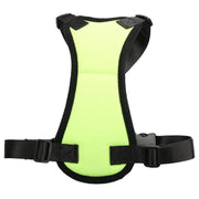 Seat Belt - Pet Car Harness for Medium Dogs