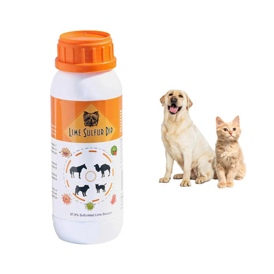  Pet Care  - Healthy Paw Life for Itchy and Dry Skin