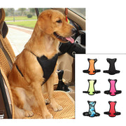 Seat Belt - Pet Car Harness for Medium Dogs