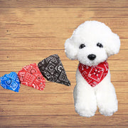 Dog Triangle Scarf with Print