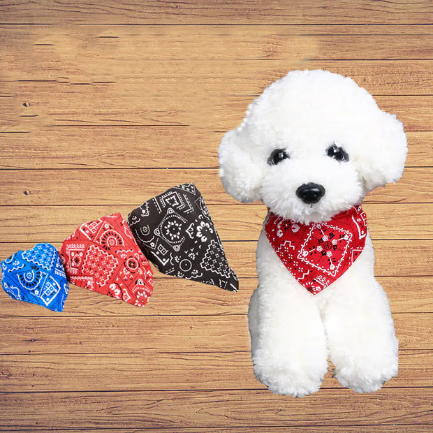 Dog Triangle Scarf with Print