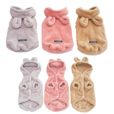 Dog Apparel and Accessories