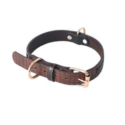 Dog Leash and Collar Set for Pets