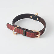 Dog Leash and Collar Set for Pets