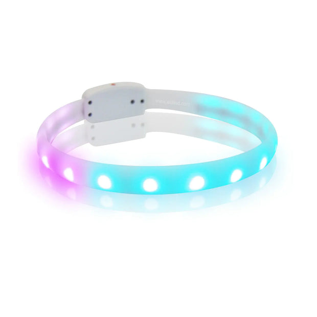 USB Rechargeable Anti-Lost Flash Dog Collar Necklace