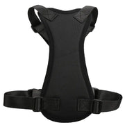 Seat Belt - Pet Car Harness for Medium Dogs