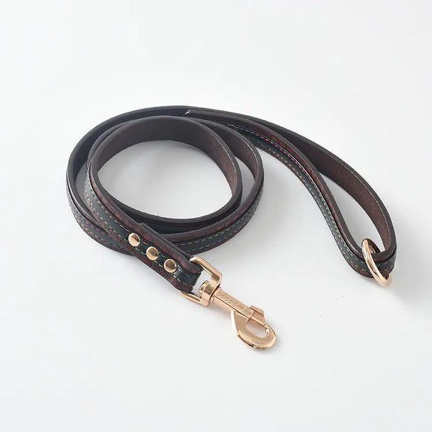 Dog Leash and Collar Set for Pets