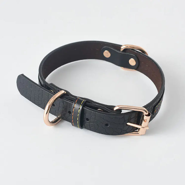 Dog Leash and Collar Set for Pets